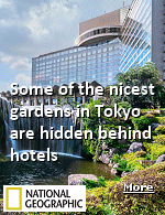 When searching for urban hotels, ''includes garden'' is not one of the typical search attributes. After all, when that city happens to be Tokyo, by many accounts the world's most populous metropolitan area, a hotel with a garden seems impossible to find. However, you'll be pleased to know there are a number of hotels that come with their own green spaces, some of which date back hundreds of years. 